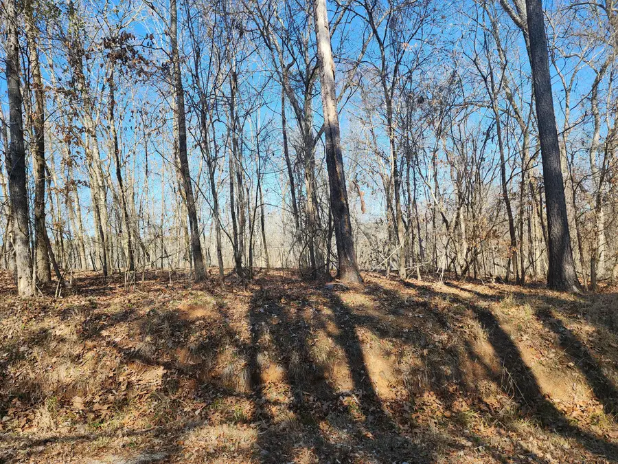 262 Goose Road, Clarks Hill, SC 29821 - #2