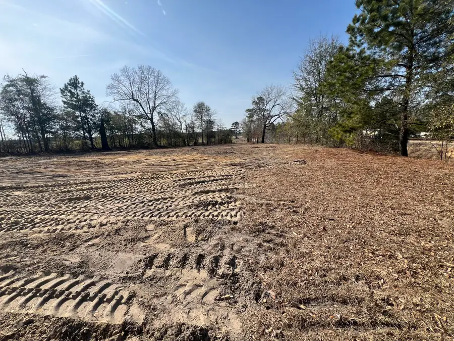 4539 Lewis Church Road, Millen, GA 30442 - #2