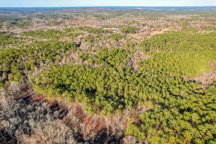 5479 Tubman Road, Appling, GA 30802 - #2