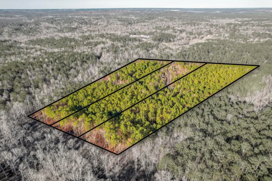 5479 Tubman Road, Appling, GA 30802 - #3