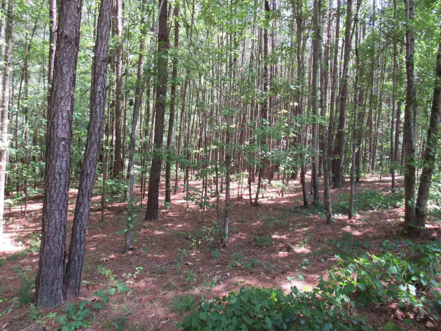 7 Riley Road, Edgefield, SC 29824 - #3