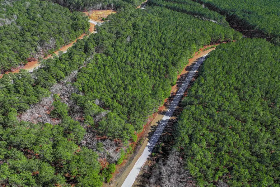 1265 Rogers Road, Tignall, GA 30668 - #3