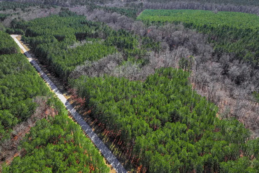 1148 Hardwood Drive, Tignall, GA 30668 - #3