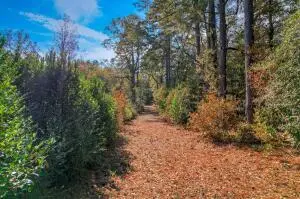 0000 Wrights Mill Road, Aiken, SC 29801 - #1