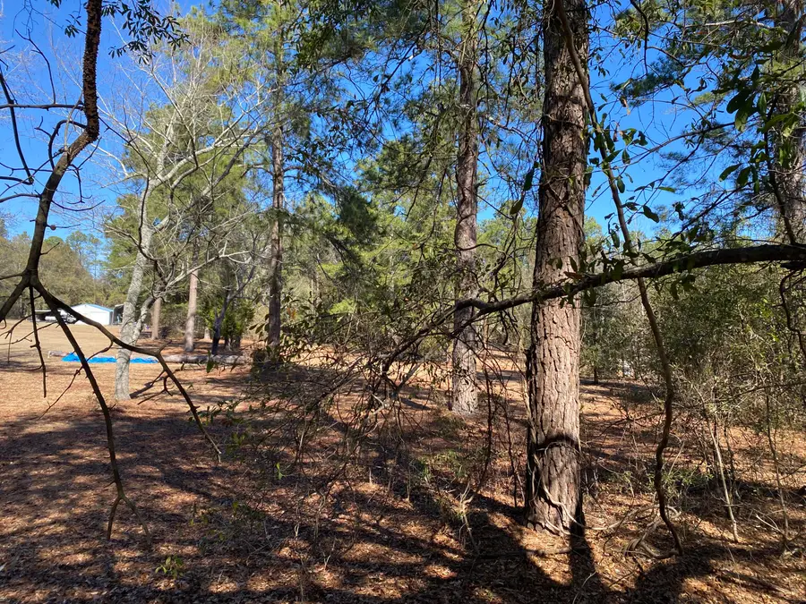 1621 N Pine Ridge Drive, Hephzibah, GA 30815 - #3