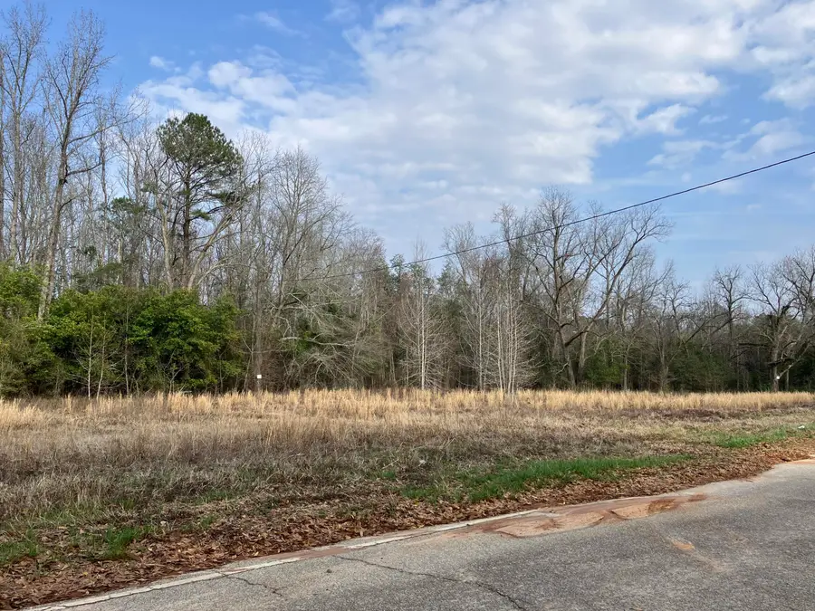 5234 Old Mike Padgett Highway, Hephzibah, GA 30815 - #2