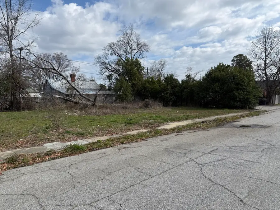 1847 Telfair Street, Augusta, GA 30904 - #3