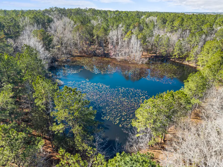 22701 Hwy 129, Cobbtown, GA 30420 - #2