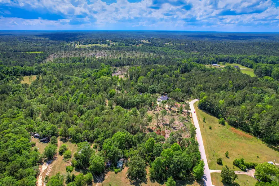 5336 Cemetery Road, Grovetown, GA 30813 - #3