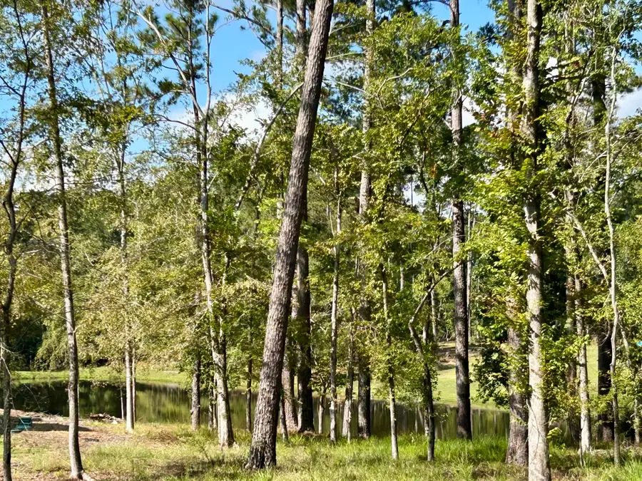 385 Canterbury Drive, Evans, GA 30809 - #3