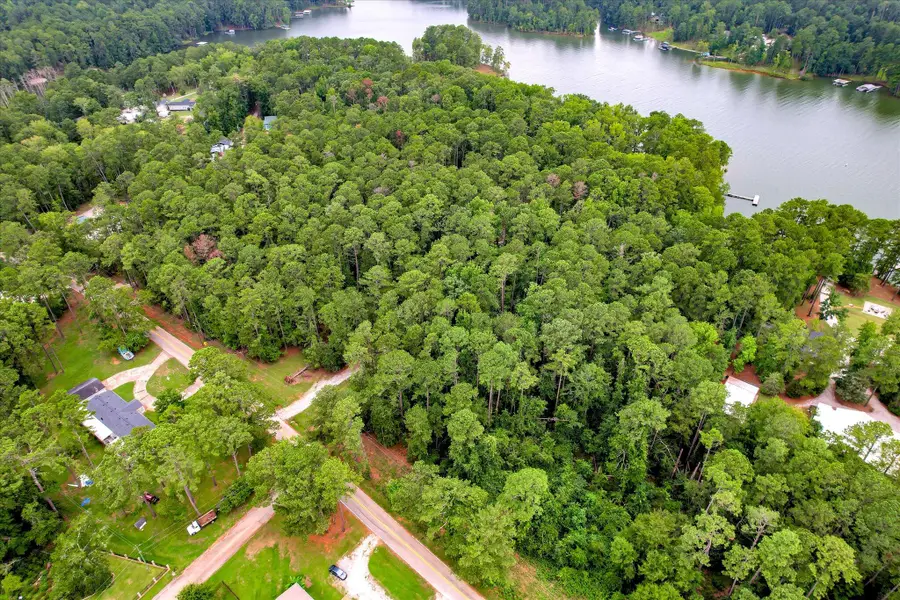 6205 Keg Creek Drive, Appling, GA 30802 - #3