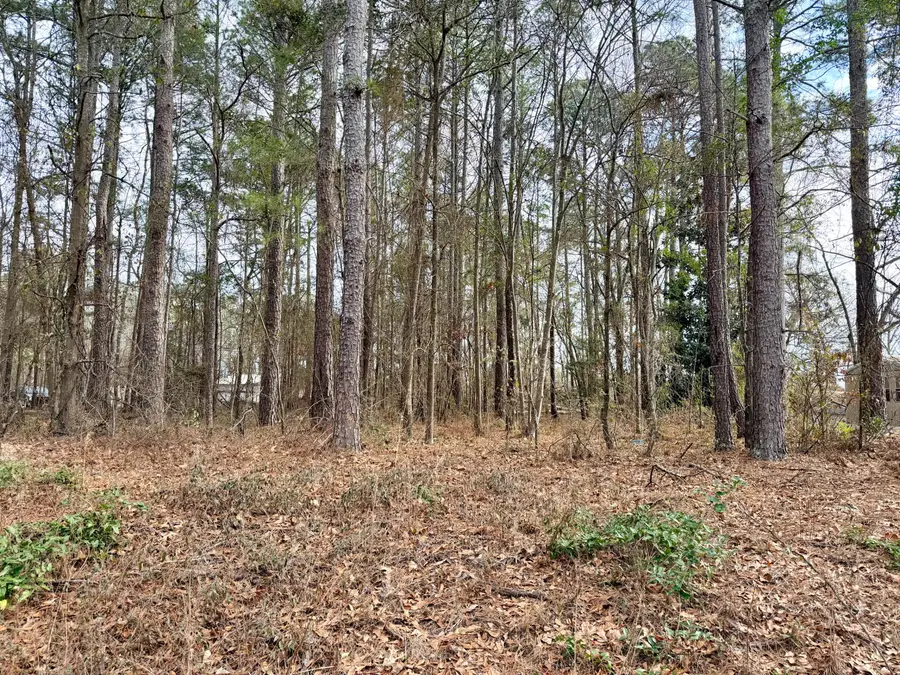 00 Vanest Road, Ridge Spring, SC 29129 - #3