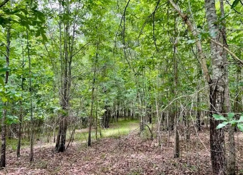 0 Lot 4 Indian Road, Lincolnton, GA 30817 - #2