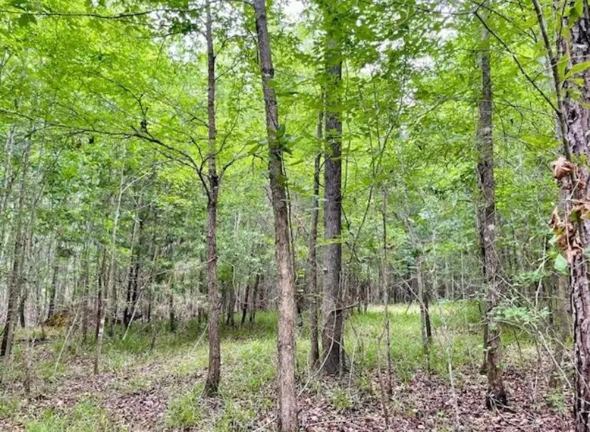 0 Lot 4 Indian Road, Lincolnton, GA 30817 - #3