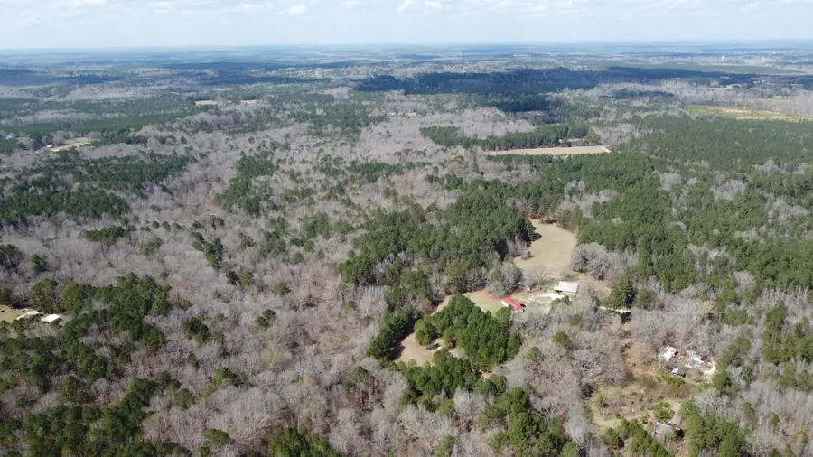 27.2 Ac John Lewis Drive, Lincolnton, GA 30817 - #2