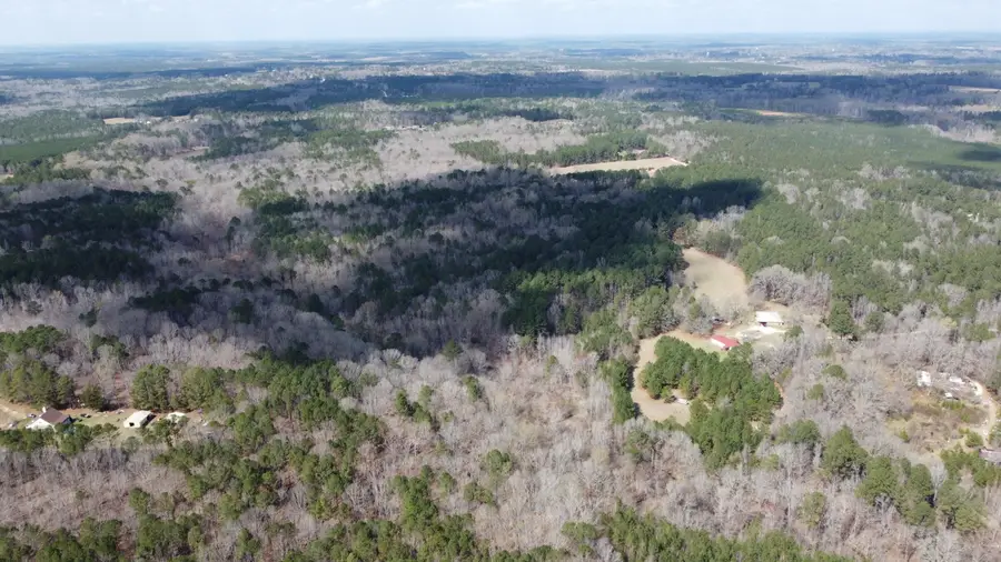 27.2 Ac John Lewis Drive, Lincolnton, GA 30817 - #3