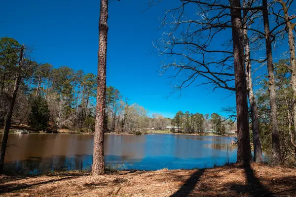 00 Mt. Zion Church Road, Lincolnton, GA 30817