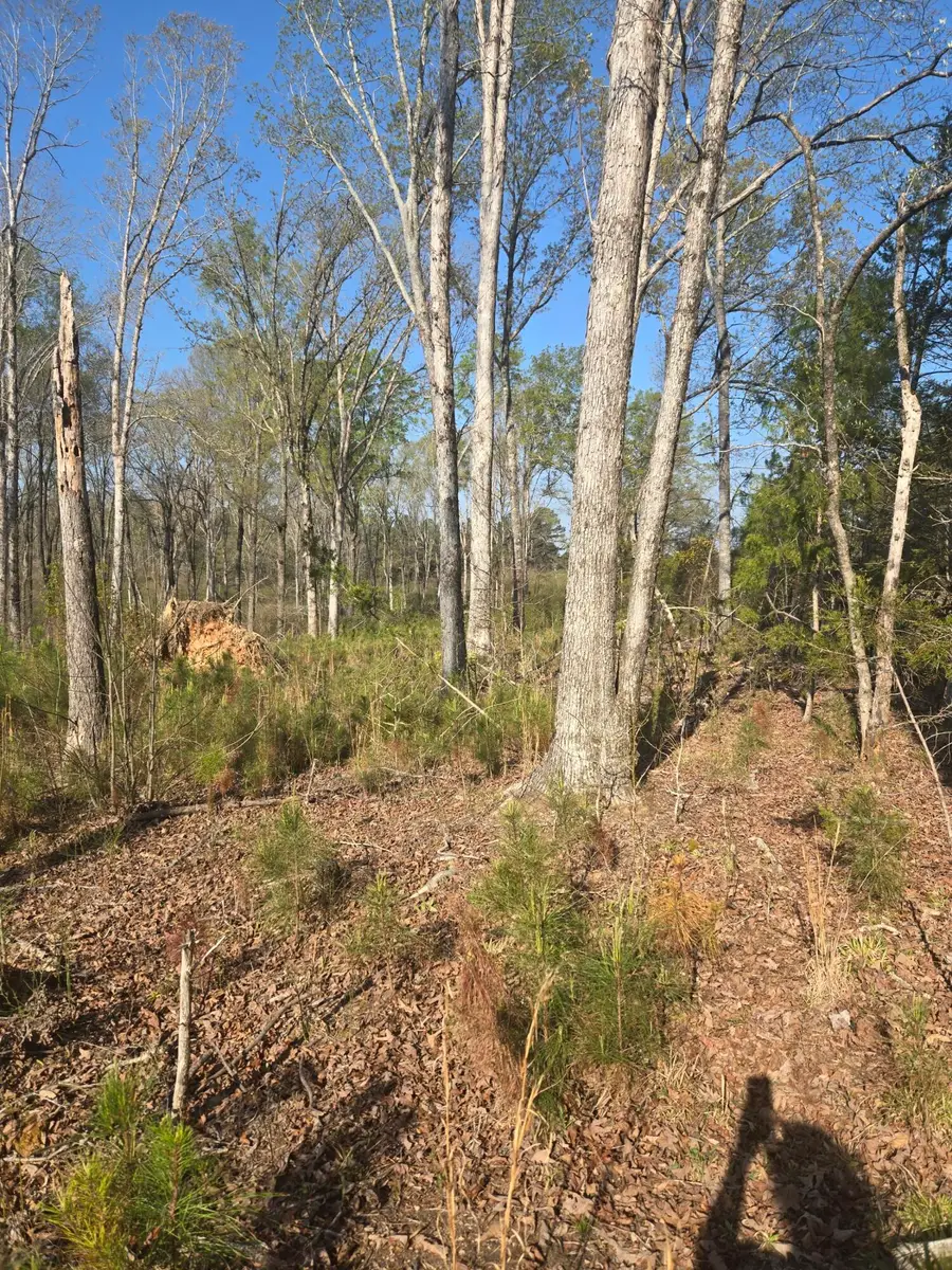 0 Mercier Road, Lincolnton, GA 30817 - #2