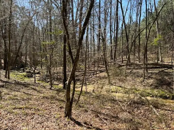 0 Twin Pine Road, Thomson, GA 30824