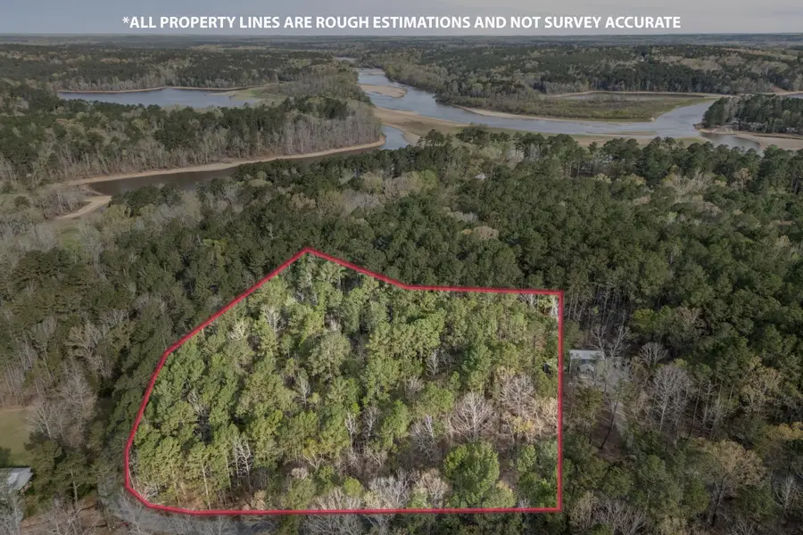 0 Lbk Circle, Tignall, GA 30668 - #2