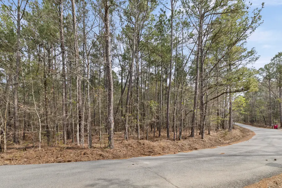 0 Lbk Circle, Tignall, GA 30668 - #3