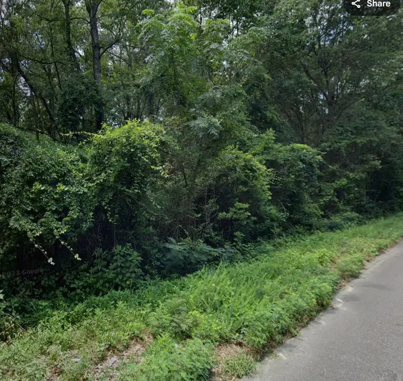 1.9a Bradleyville Road Lane, North Augusta, SC 29841 - #2