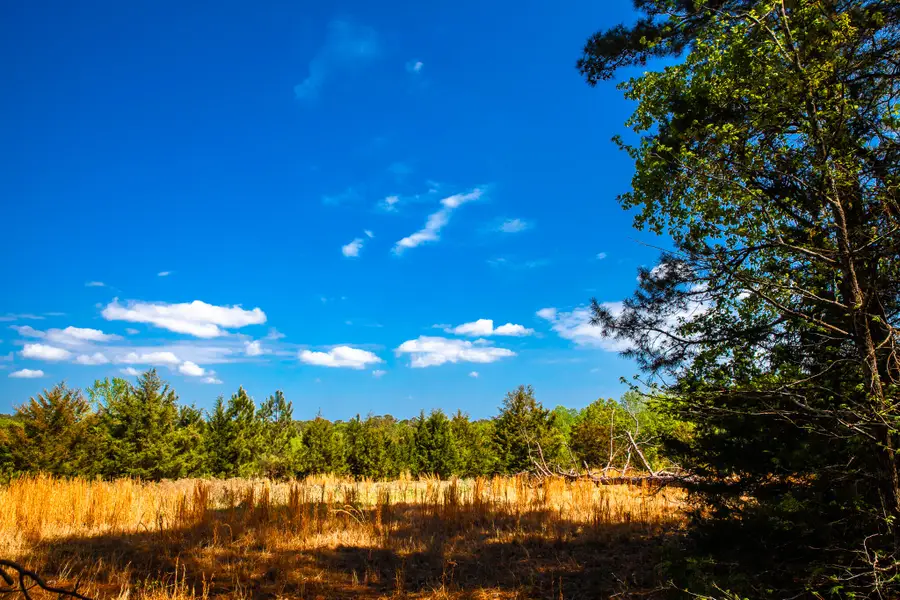 Lot 3 Smith Crawford Road, Thomson, GA 30824 - #3