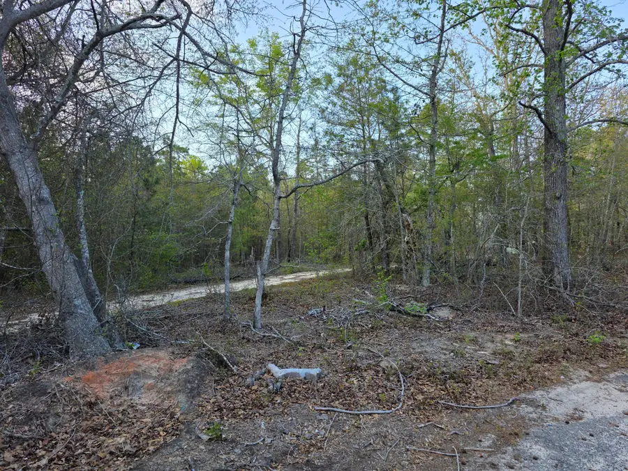 2797 Raborn Road, Hephzibah, GA 30815 - #3