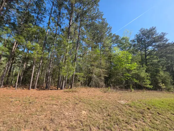 Tract A Georgia 102, Gibson, GA 30810