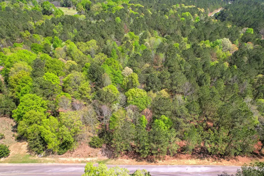 1018 Pineknoll Lane, Lincolnton, GA 30817 - #2