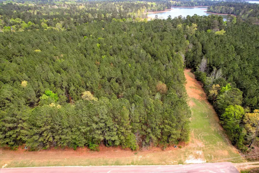 1078 Clinton-williams Road, Lincolnton, GA 30817 - #2