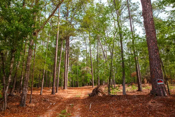 Address Withheld By Seller, Harlem, GA 30814