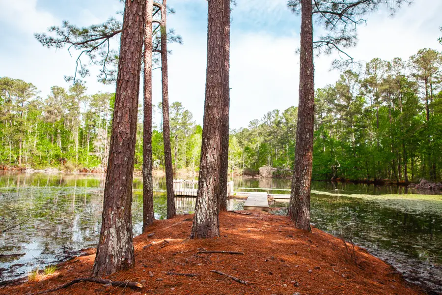 Address Withheld By Seller, Harlem, GA 30814 - #2