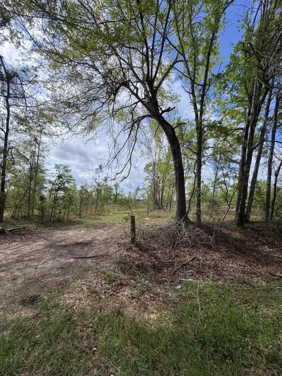 1508 Hephzibah - Mcbean Road, Hephzibah, GA 30815 - #3