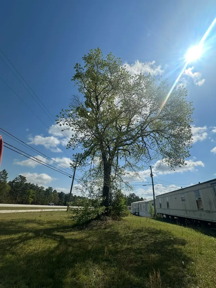 2454 Tobacco Road, Hephzibah, GA 30815 - #3