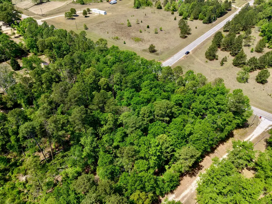 0 Hephzibah Keysville Road, Hephzibah, GA 30815 - #3