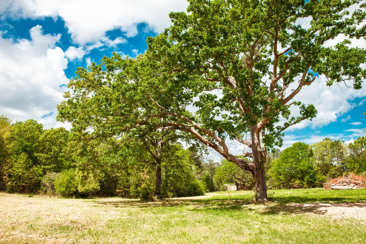 00 Ralph Goolsby Road, Lincolnton, GA 30817 - #1