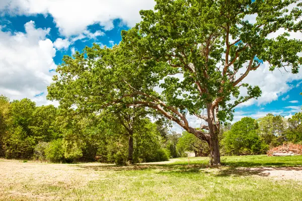 00 Ralph Goolsby Road, Lincolnton, GA 30817