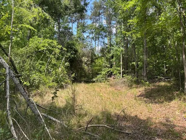 2060 Glenn Falls, Grovetown, GA 30813 - #2