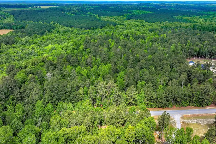 4985 Harlem Wrens Road, Harlem, GA 30814 - #3