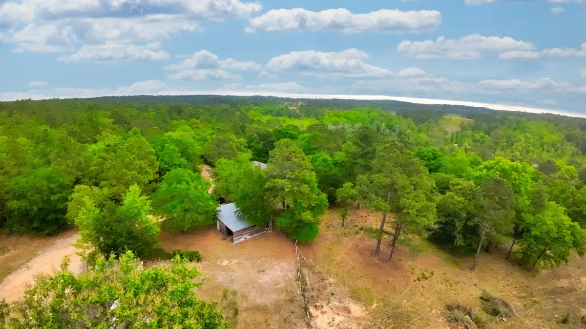 231 Holley Pond Road, Monetta, SC 29006 - #1