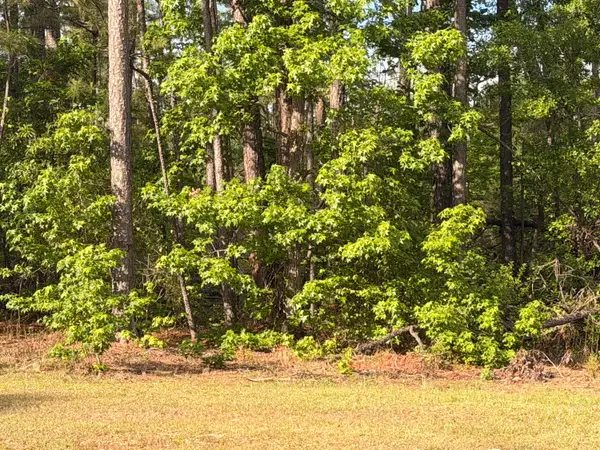 2943 Willis Foreman Road, Hephzibah, GA 30815