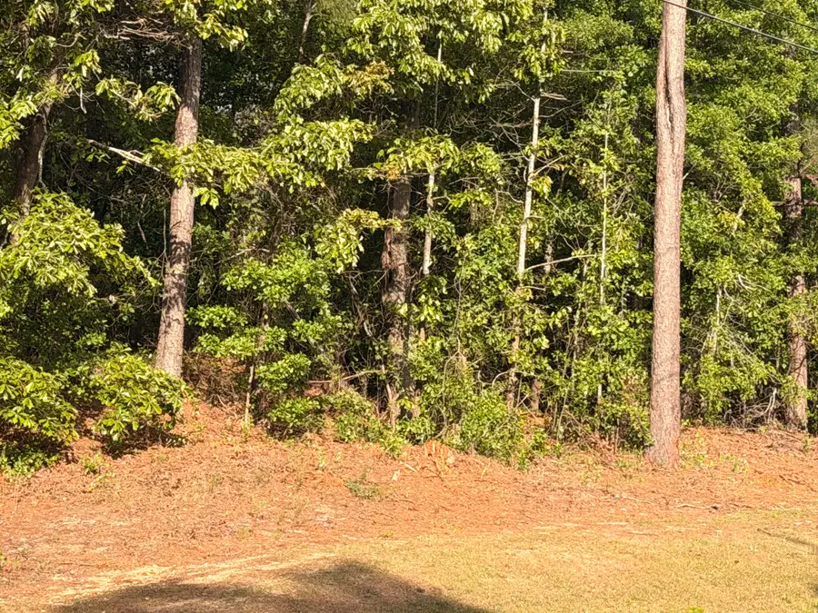 2943 Willis Foreman Road, Hephzibah, GA 30815 - #2
