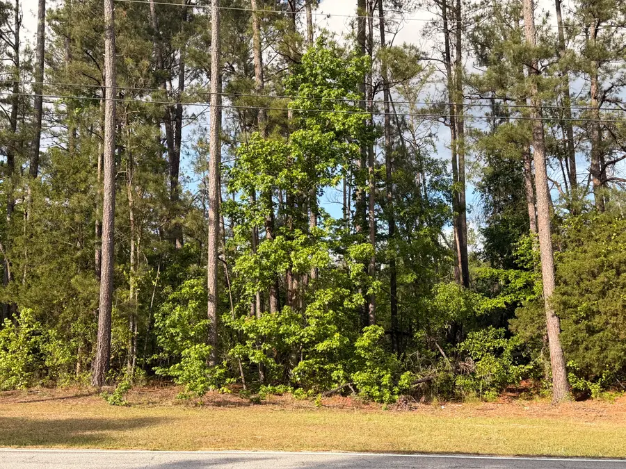 2943 Willis Foreman Road, Hephzibah, GA 30815 - #3