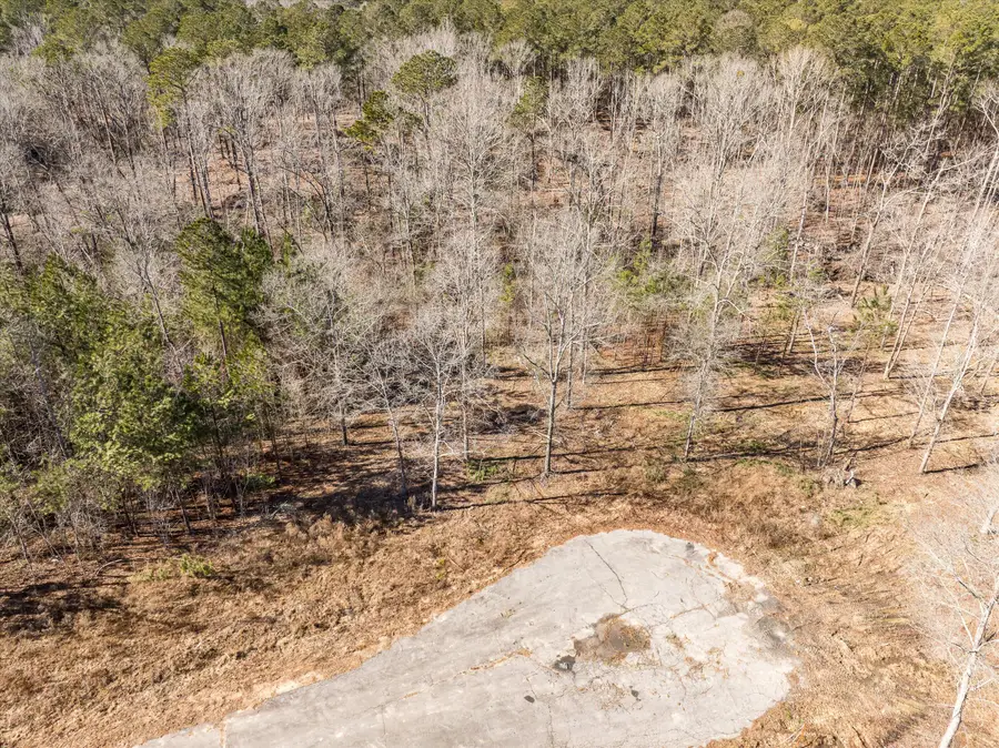 151 Gin Branch Road, Thomson, GA 30824 - #3