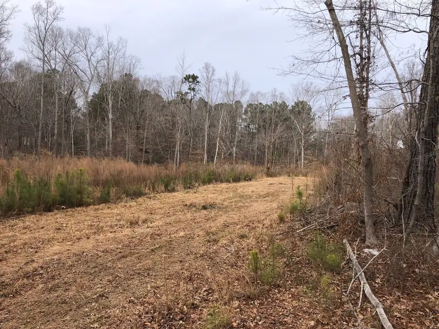 00 Vinson Rd., Clayton, NC 27527 - Image #3