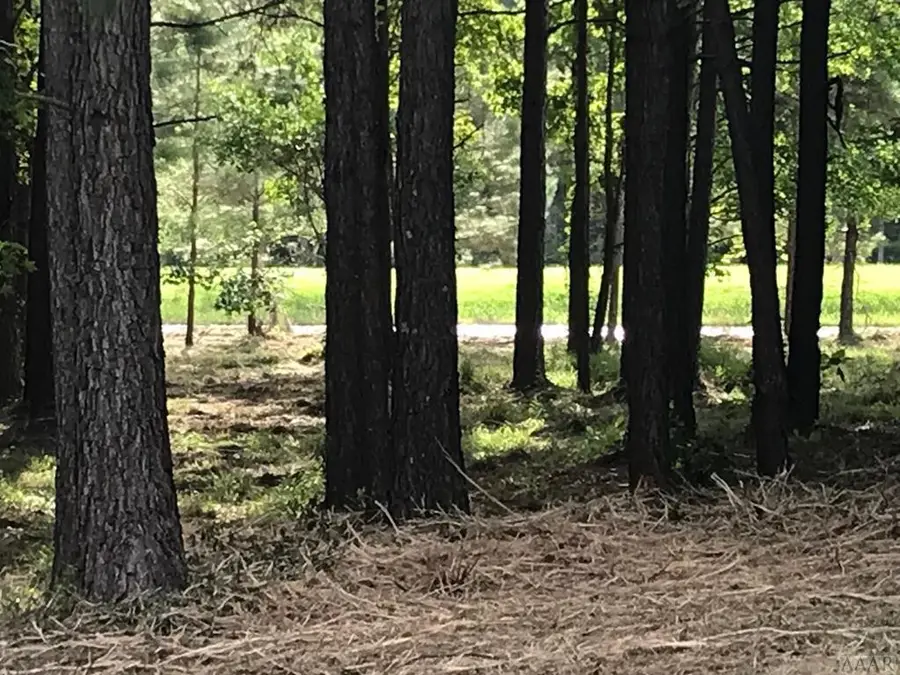 144 Colleton Circle, Edenton, NC 27932 - Image #3