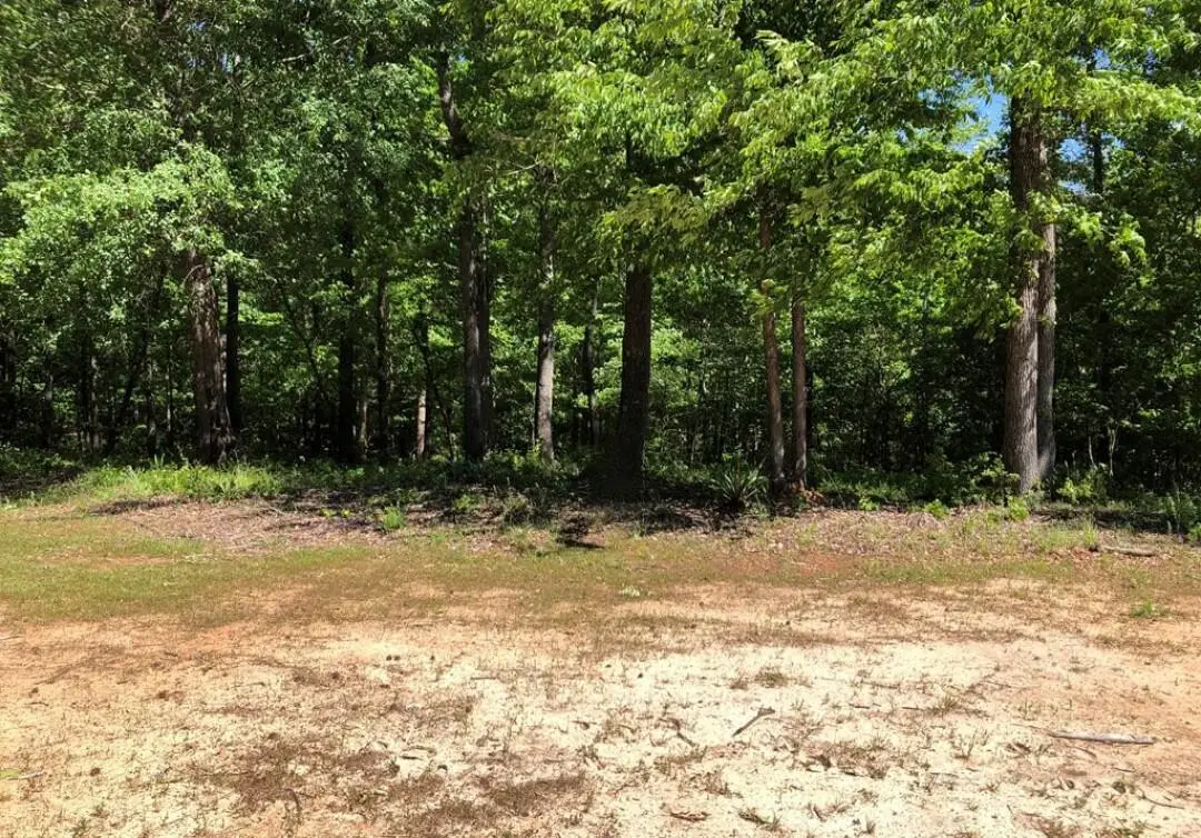 C-2 Homeward Bound, North Augusta, SC 29860 - #1
