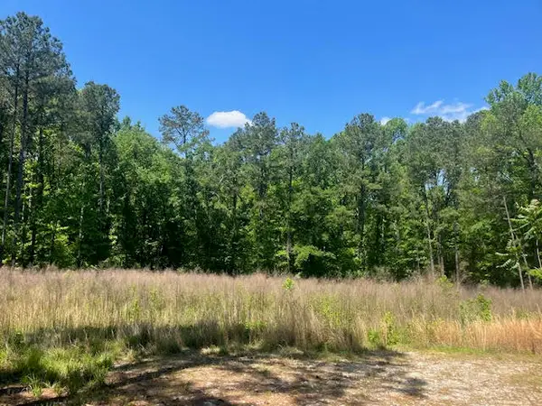 0000 Dooly Springs, Lincolnton, GA 