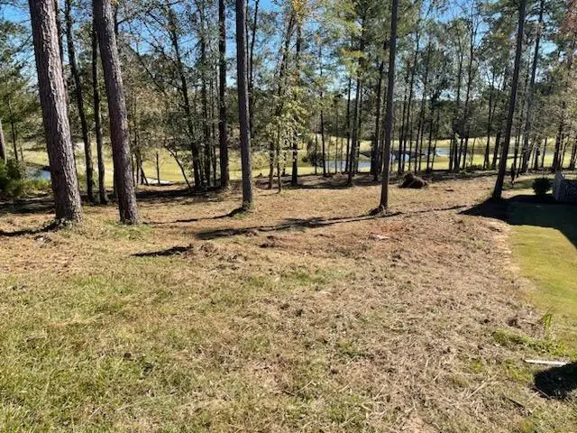Lot M-46 Mary Johnson's Court, North Augusta, SC 29860 - #1